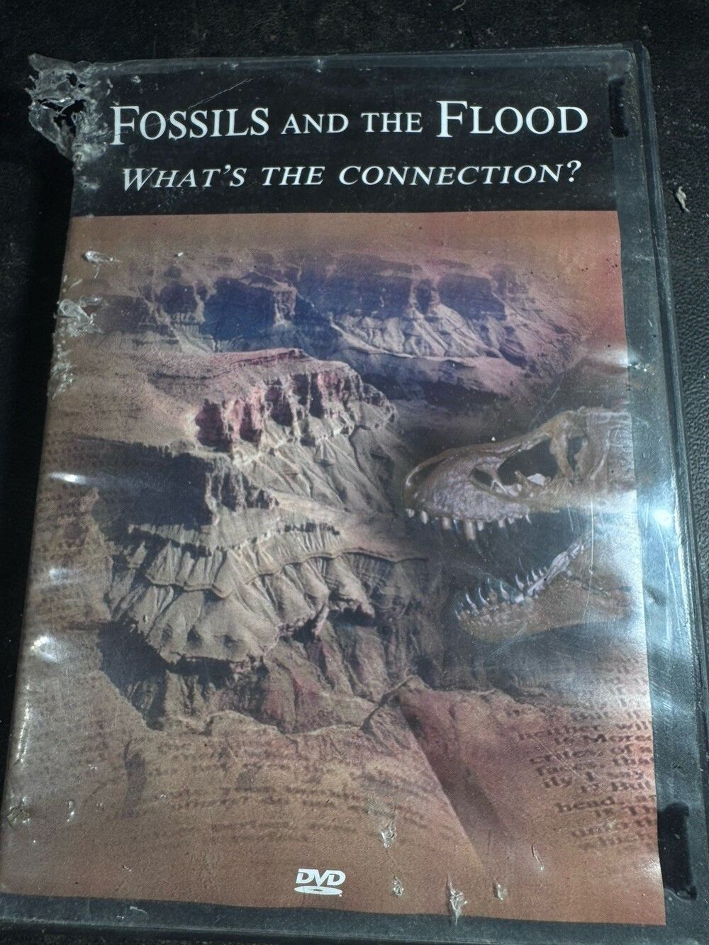Answers in Genesis Ministries Fossils and the Flood DVD Documentary Ken Ham 2000
